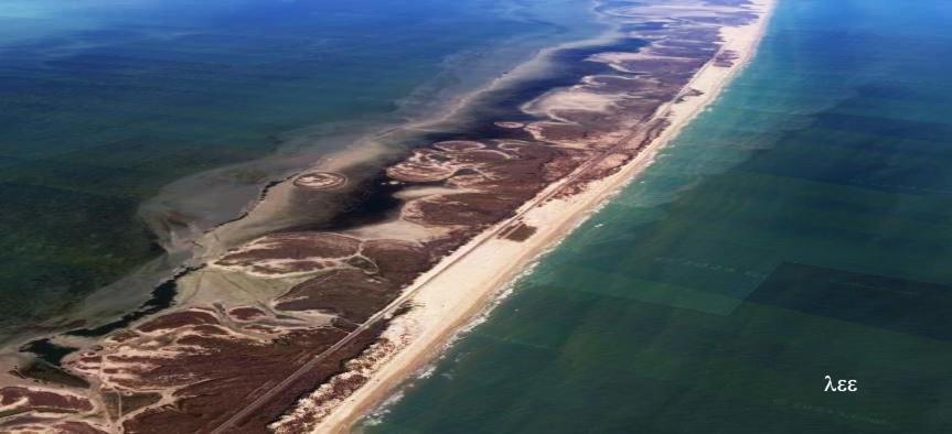 South Padre Stayz เซาท์ปาเดรไอส์แลนด์ ภายนอก รูปภาพ