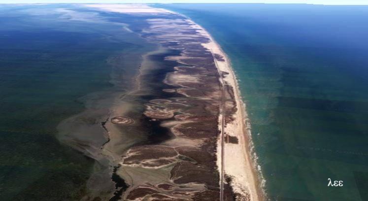 South Padre Stayz เซาท์ปาเดรไอส์แลนด์ ภายนอก รูปภาพ
