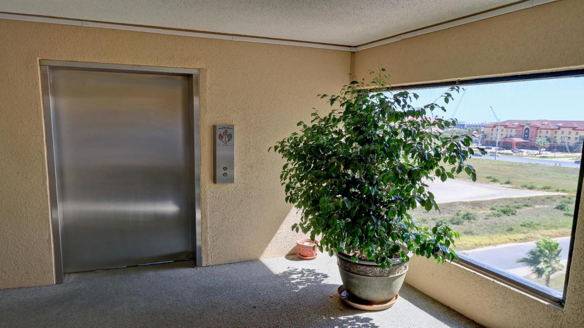 South Padre Stayz เซาท์ปาเดรไอส์แลนด์ ภายนอก รูปภาพ